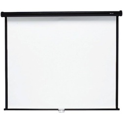 Projector Screen Wall Mount 60X60 Inches