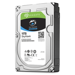 Seagate Surveillance 10 TB Hard Disk