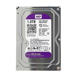 WD Surveillance 1 TB Hard Disk