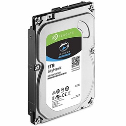 Seagate Surveillance 1 TB Hard Disk