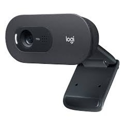 Logitech C505 HD Webcam - 960-001364