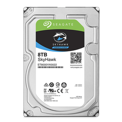 Seagate Surveillance 8 TB Hard Disk